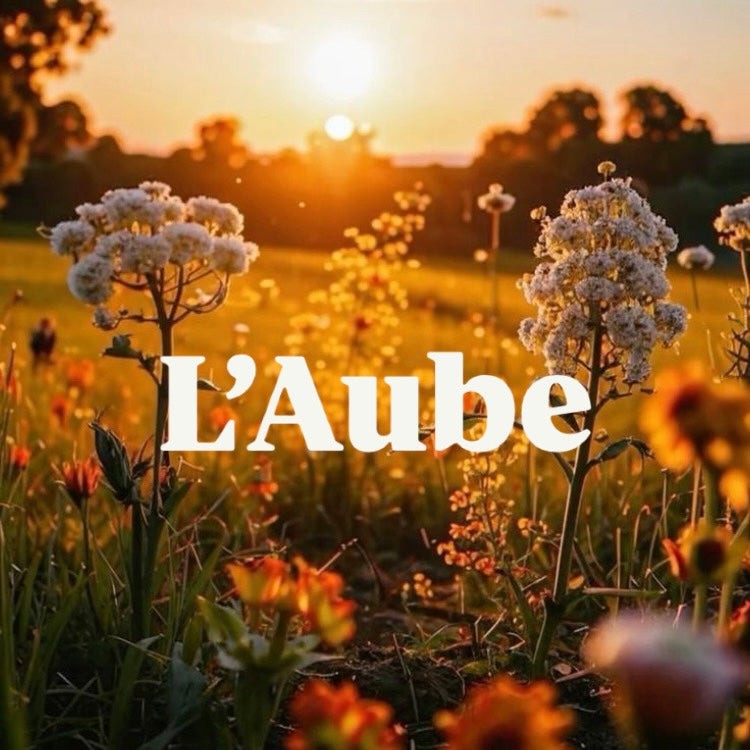 Collection Vêtements - L’Aube